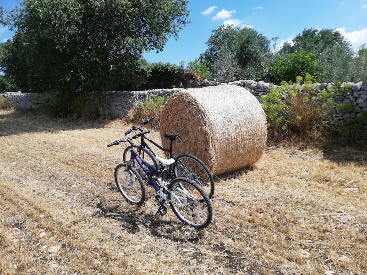 Agriturismo Fondo Paliemmu 莫迪卡 外观 照片